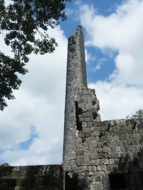 St. Kitts, Batı Hint Adaları 'ndaki eski bir şeker değirmeninin yıkıntıları arasında bir ağaç yapraklarıyla çerçevelenmiş bir kule.