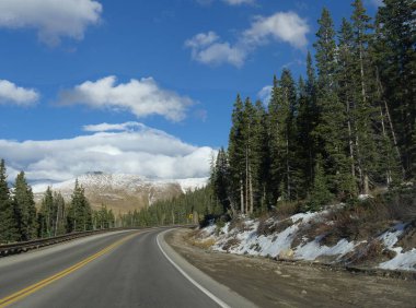 Colorado kayalıklarında karlı dağlarla çevrili uzun yeşil ağaçlarla çevrili ıssız bir yol., 