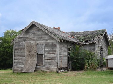  Yolun kenarındaki terk edilmiş ahşap bir evin yakınında. 