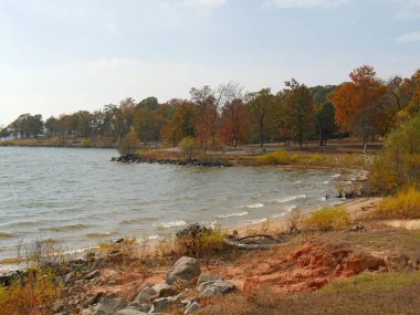Ağaçlarda sonbahar renkleriyle Eufala Gölü soğuk bulutsuz bir sabahta