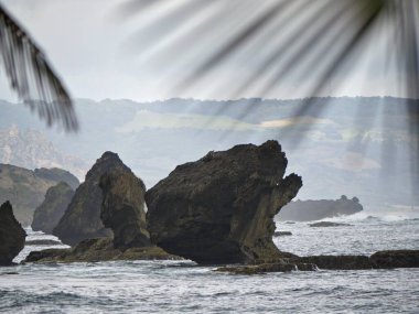 Büyük taşlar, Barbados 'un doğusundaki Bathsheba Sahili' nin kıyı manzarasına daha fazla ilgi çeker. 