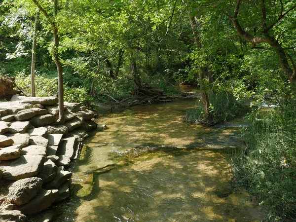 Легко Текущий Ручей Лесу Расположенными Каменными Ступенями Одной Стороны — стоковое фото