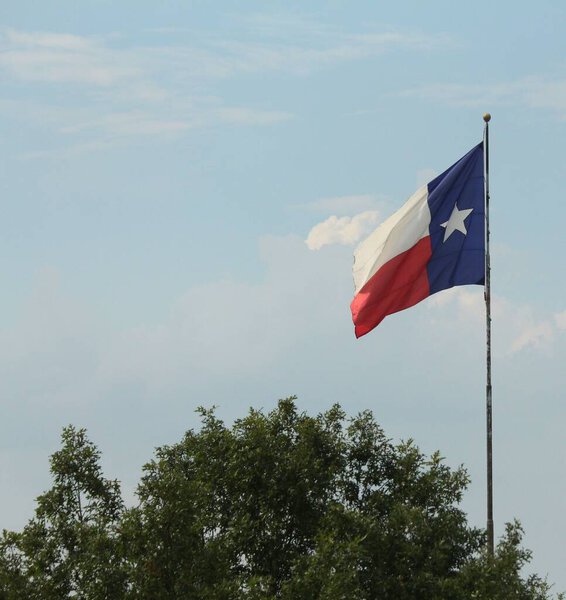 Texas state flag waving in the wind from a pole, with treetops in view