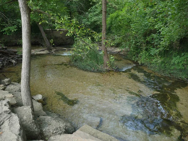 Acque Limpide Che Scorrono Torrente Nella Giungla Con Passi Pietra — Foto Stock