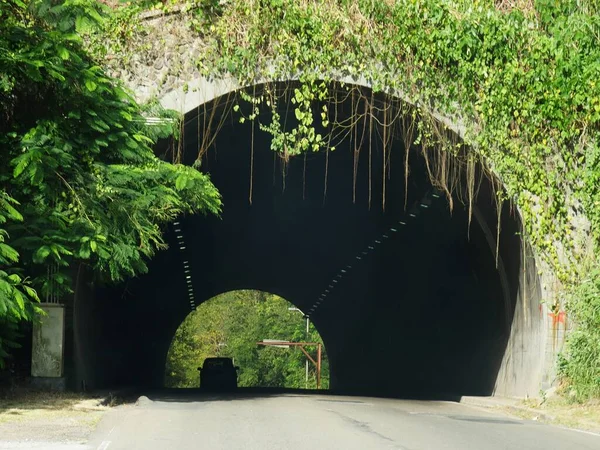 カリブ海のセントルシアでブドウが栽培されている高速道路のコンクリートトンネル — ストック写真