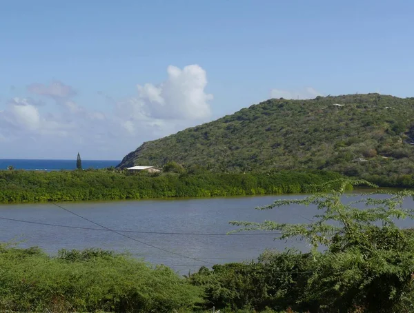 Lagun Omgiven Frodig Vegetation Culebra Puerto Rico — Stockfoto