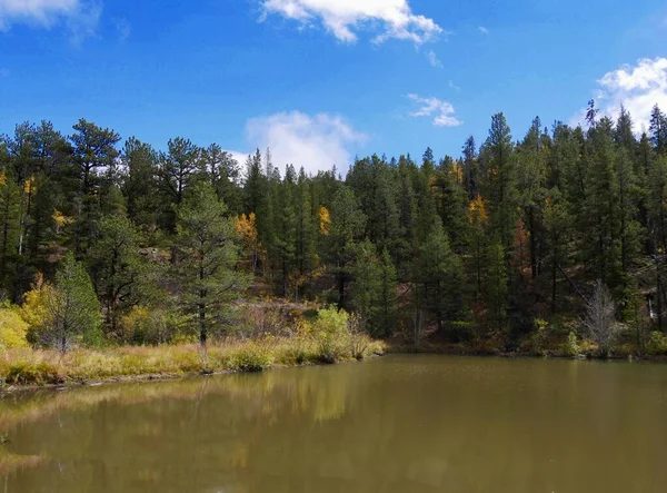 Миролюбивый Пруд Деревьями Начинает Менять Окраску Обочине Дороги Колорадо — стоковое фото