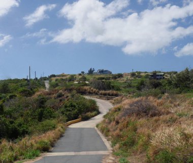 Culebra, Porto Riko 'da güzel bir günde çalılarla çevrili dar bir yol.