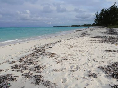 Tropikal bir adada el değmemiş beyaz kumlu bir plajın geniş bir görüntüsü.