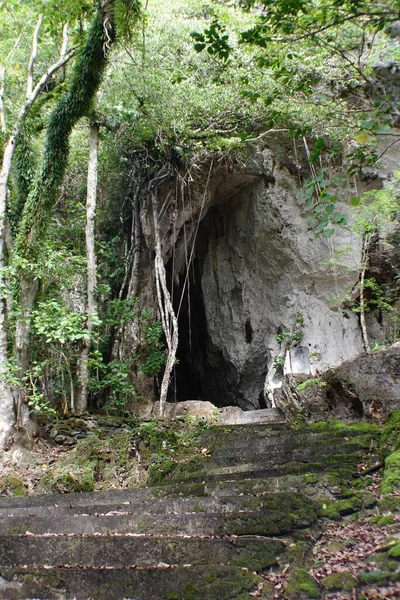 Ouverture Une Grotte Dans Jungle Avec Marches Béton Grotte Tonga — Photo