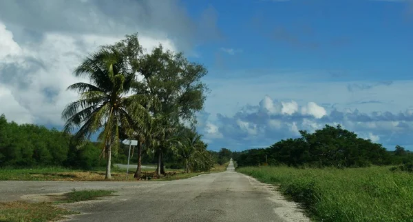 Estrada Reta Longa Pavimentada Com Coqueiros Para Campo Norte Ilha — Fotografia de Stock