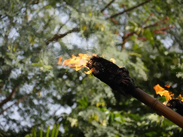 Zapalone Pochodnie Tiki Płonące Tle Rozmazanych Zielonych Liści — Zdjęcie stockowe