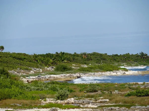 Vista Costeira Verde Exuberante Uma Praia Nas Ilhas Tropicais Caribe — Fotografia de Stock