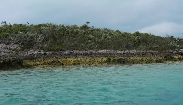 Primo Piano Isola Rocciosa Ricoperta Arbusti Verdi Exuma Cays Alle — Foto Stock