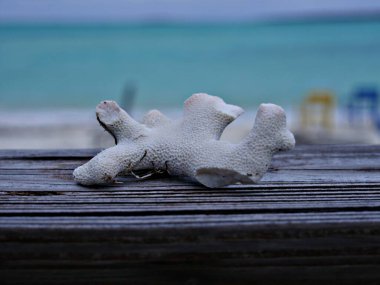 Tahta bir masanın üstüne, bulanık bir şekilde yerleştirilmiş beyaz bir ağıl parçası. 