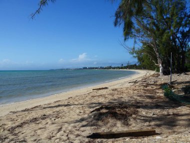 Kıvrımlı deniz kıyısı olan güzel sahil tropikal bir adada güzel bir manzara yaratıyor.