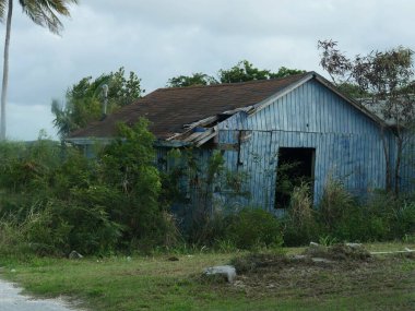 Terk edilmiş bir yapı, neredeyse yol kenarındaki bir çalılıkla kaplanmış.