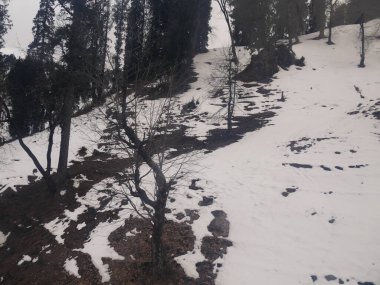 Kışın etrafı karla kaplanmış manzaralı orman manzarası.