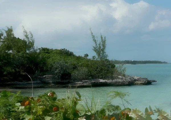 热带岛屿海滨的海滨道路上 树桩丛生 风景如画 — 图库照片