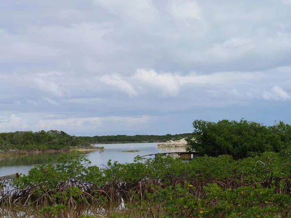 Vatten Rinner Ett Inlandstorp Från Havet Tropisk — Stockfoto