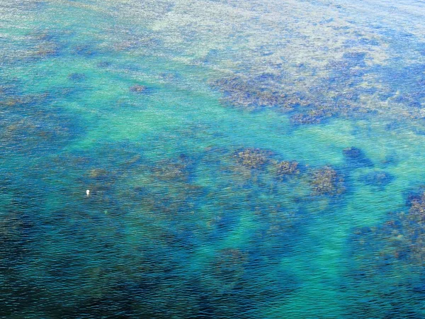 热带海滩清澈的海水显示了海底的珊瑚 — 图库照片