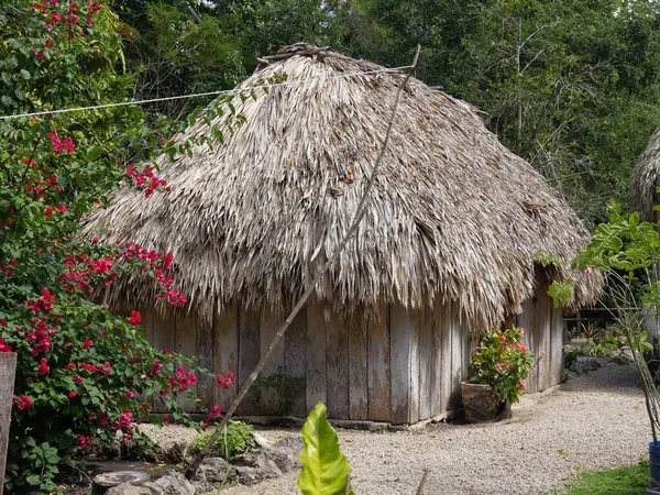 Kosta Maya, Meksika 'da geleneksel ahşap çatılı kulübelerin yan görüntüsü..