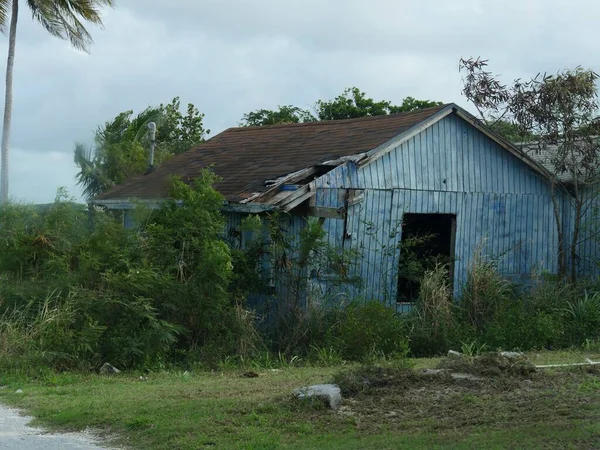 Terk edilmiş bir yapı, neredeyse yol kenarındaki bir çalılıkla kaplanmış.