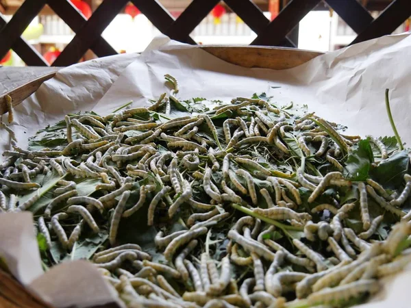 Wide Shot Silk Worms Developing Silk Factory — Stok Foto