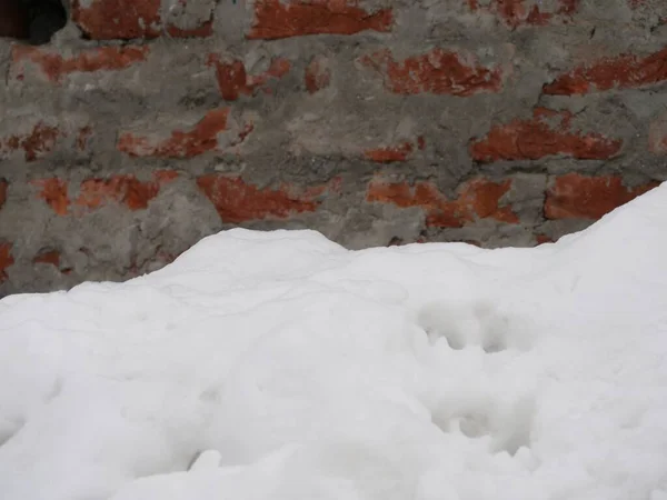 Nahaufnahme Von Frischem Flauschigem Schnee Gegen Eine Felswand — Stockfoto