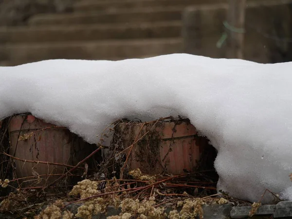 Szerokie Ujęcie Zamarzniętego Śniegu Pokrywającego Wierzchołki Garnków Zewnątrz — Zdjęcie stockowe