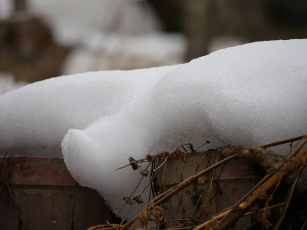 Extreme Nahaufnahme Von Schnee Auf Blumentöpfen Freien — Stockfoto