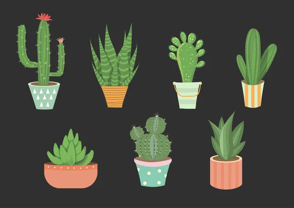 Sada Vektorových Ručně Kreslených Izolovaných Kaktusů Roztomilý Zelený Kaktus Květu — Stockový vektor