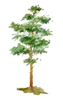 Bir ağaç arka plan kroki izole