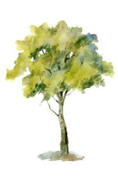 Bir ağaç arka plan kroki izole