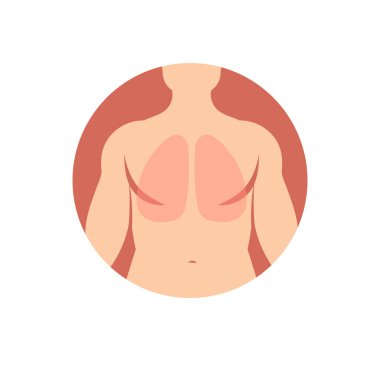 İnsan organlarının akciğerlerinin bölgesini gösteren ikon.