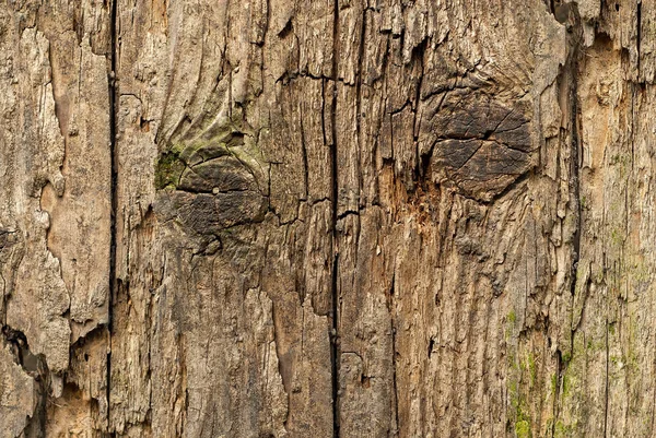 Madera Vieja Piel Madera Textura Madera Fondo Madera Natural Natural — Foto de Stock