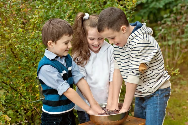 Freunde Haben Spaß Kinder Pressen Herbst Trauben — Stockfoto