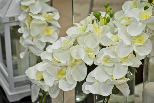 白い装飾花を飾るフォト ゾーン — ストック写真
