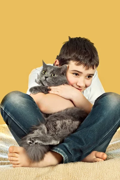 Мальчик Серой Кошкой Оранжевом Фоне — стоковое фото