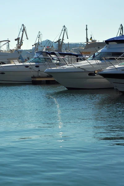 Muchos Yates Blancos Muelle Yates Elegantes Fondo Del Cielo Azul — Foto de Stock