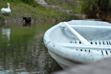 İskelenin yakınındaki gölde eski beyaz tekne. Arka planda sahilde kuğu.