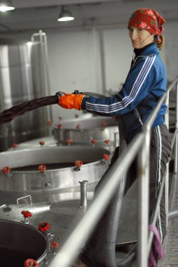 10 Ekim 2011. Purcari Winery, Stefan Voda-Moldova. Bir kadın büyük metal varil içine kırmızı şarap dökülen.