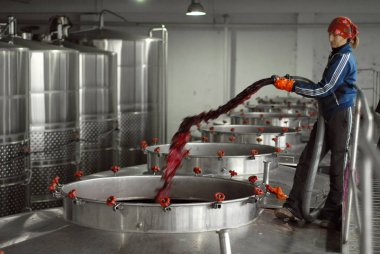 10 Ekim 2011. Purcari Winery, Stefan Voda-Moldova. Bir kadın büyük metal varil içine kırmızı şarap dökülen.
