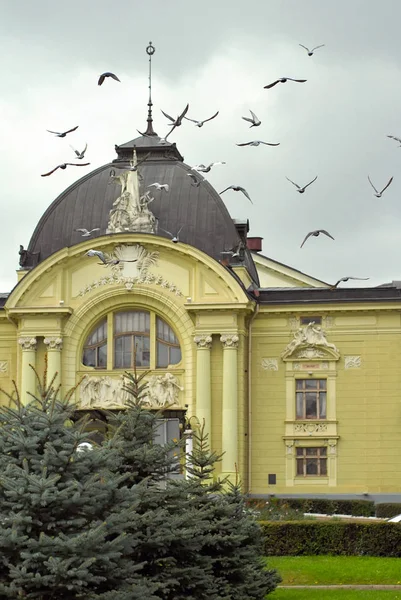 Musique Théâtre Dramatique Tchernivtsi Ukraine Europe Élément Architecture — Photo