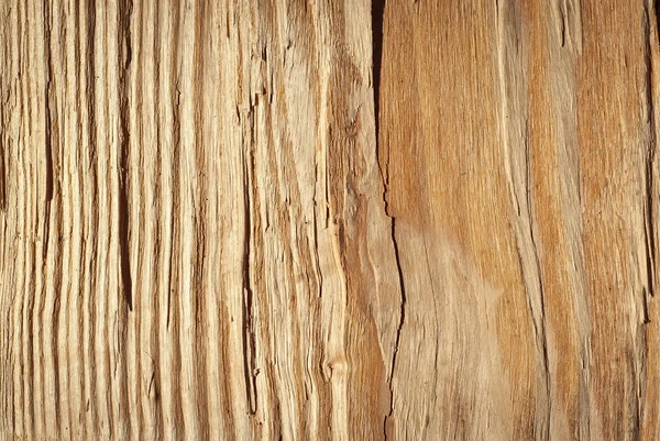 Madera Vieja Piel Madera Textura Madera Fondo Madera Natural Natural —  Fotos de Stock