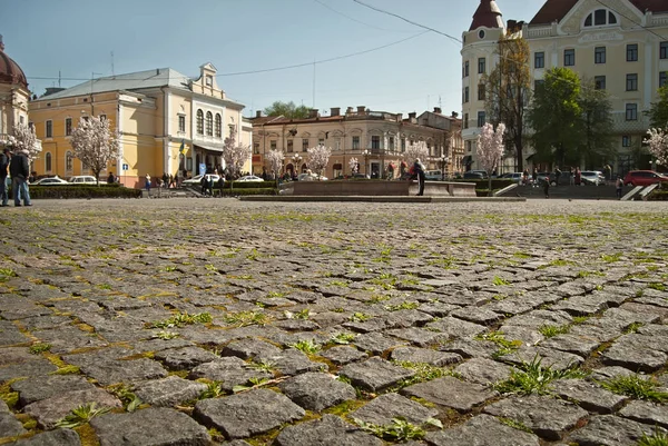 Primer Plano Cobblestone Nitidez Baldosas Granito Plaza Calle Están Borrosas —  Fotos de Stock