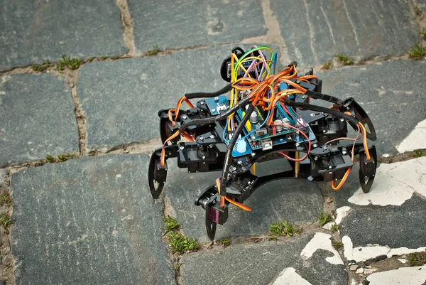 Robotics is made by children at a scientific exhibition. Multi-colored wires and microcircuits are made of plywood, designer and spare parts. Radio controlled devices.