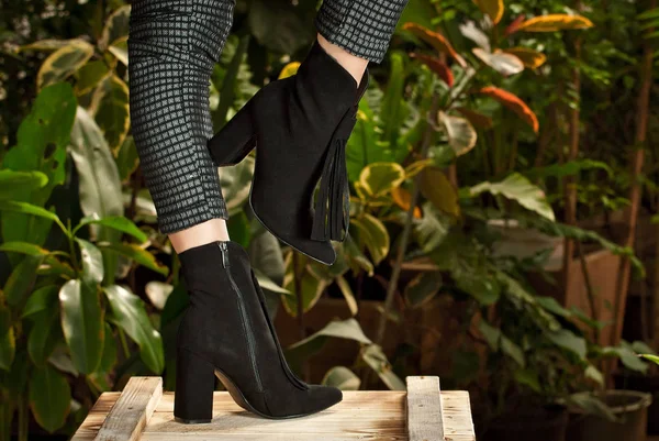 Black suede shoes for women's leg. The girl walks in shoes. Classic shoes on the background of tropical plant arranger.