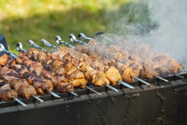 Izgarada et dilimleri. Festivalde barbekü. Şişte peynir ve kızarmış dana eti..