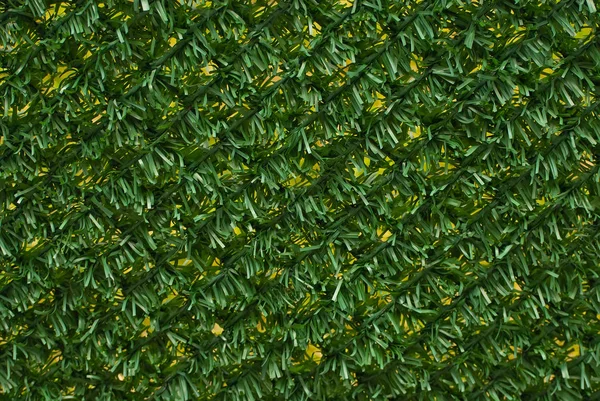 Textura Cerca Verde Valla Verde Artificial — Foto de Stock
